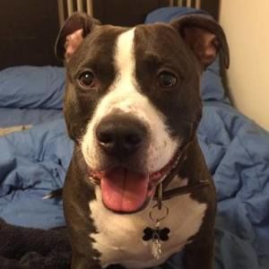 Meet your Posher, Brett